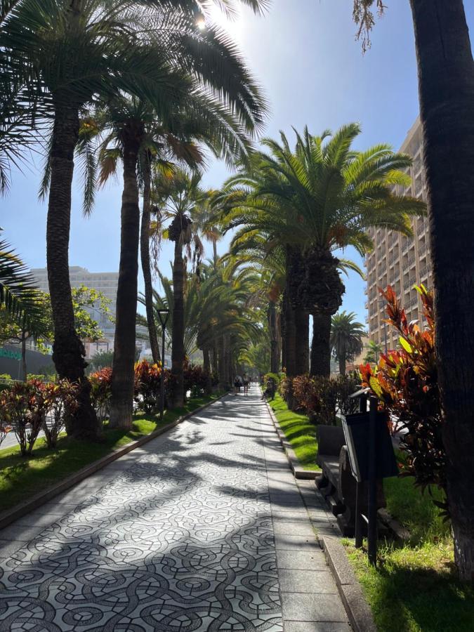 Estudio-Szl Puerto de la Cruz Kültér fotó