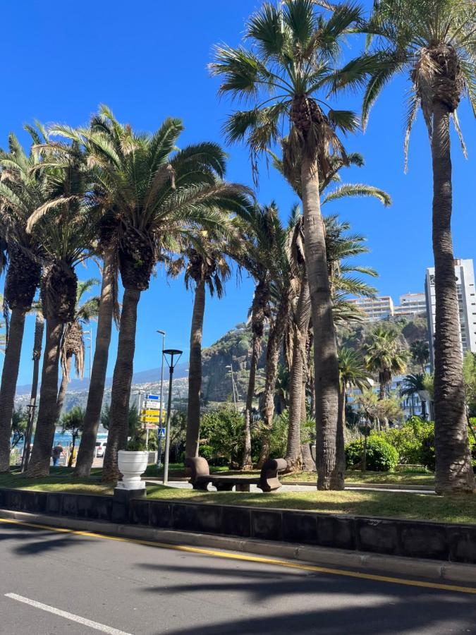 Estudio-Szl Puerto de la Cruz Kültér fotó